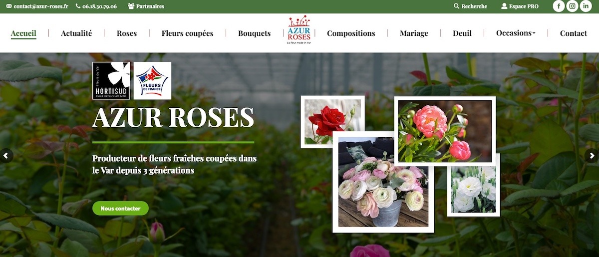 création site internet referencement Azur Roses par Ingenieweb Var